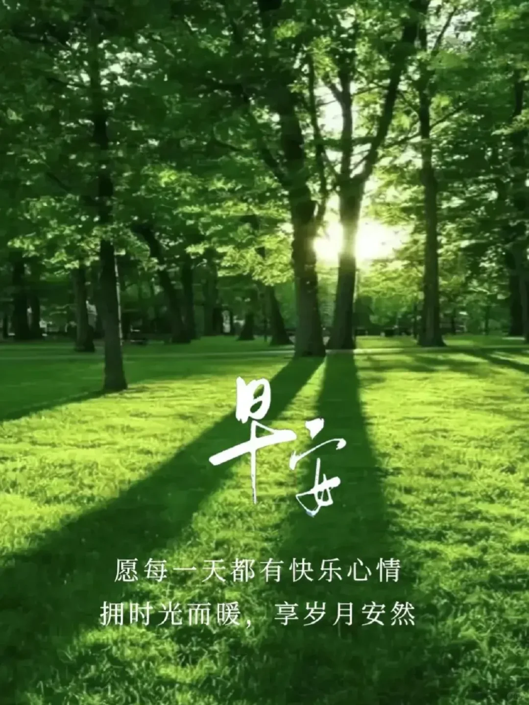 早安！愿您每一天都有快乐心情