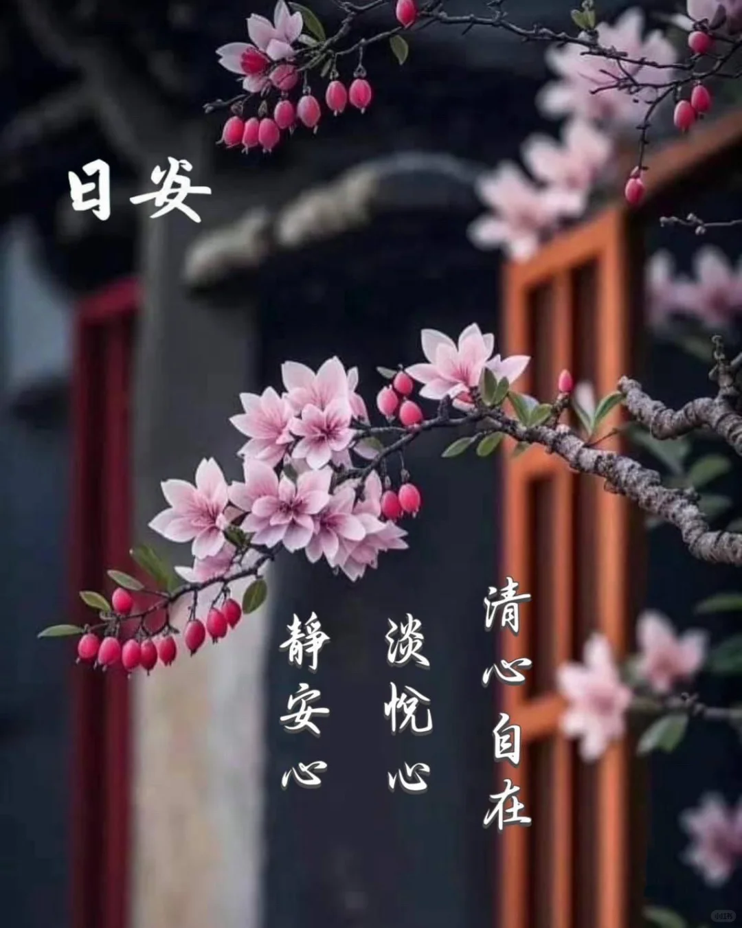 以清简，许清欢🍃 早安吉祥