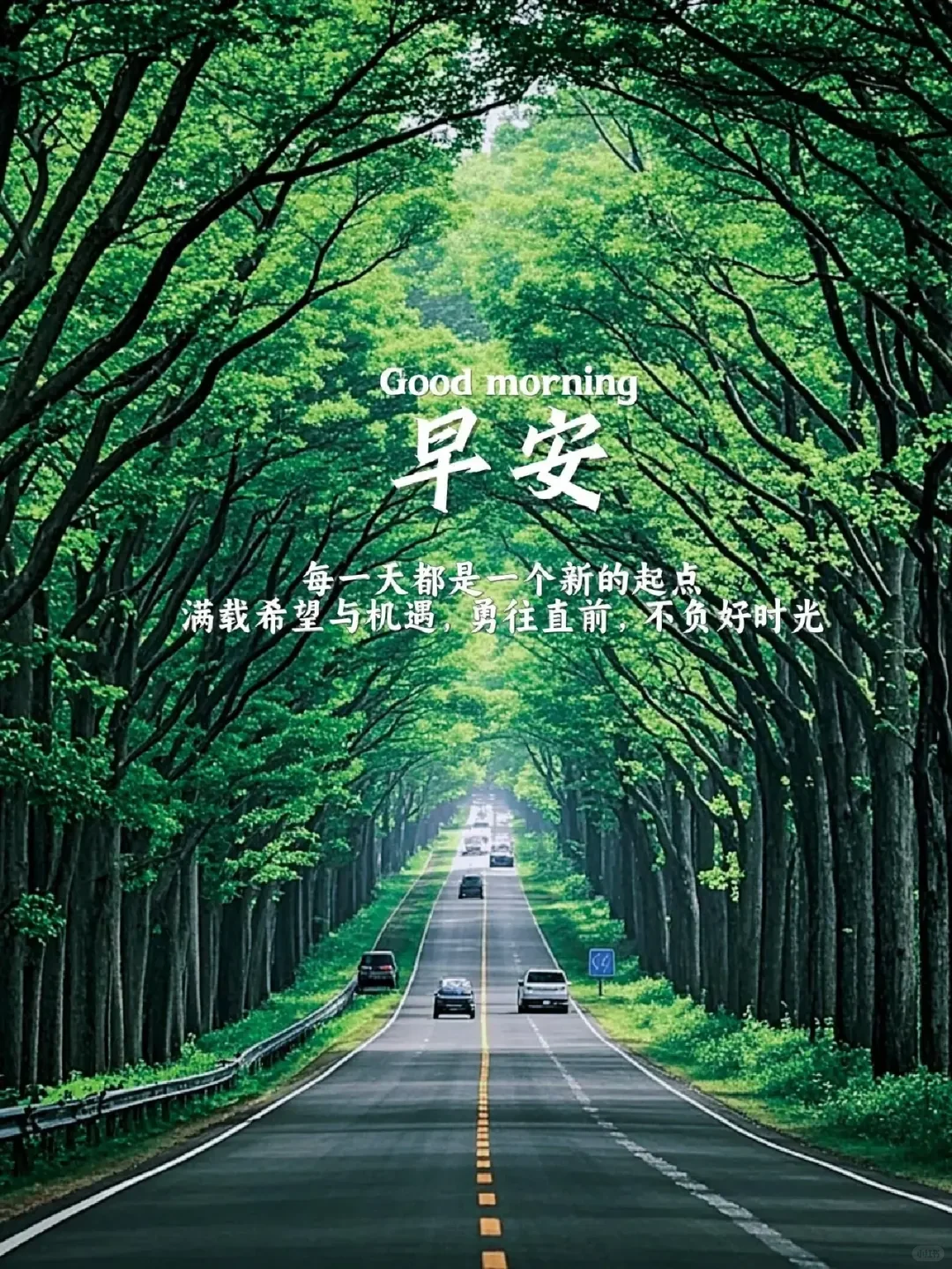 早安！愿您每一天都有快乐心情