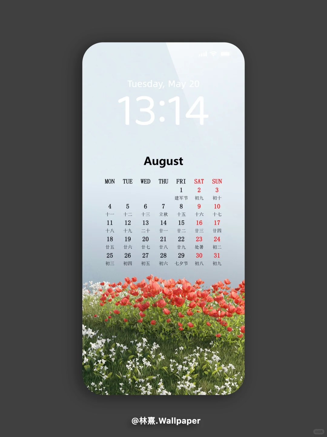 8月日历壁纸◼️花朵和天空的壁纸～💐