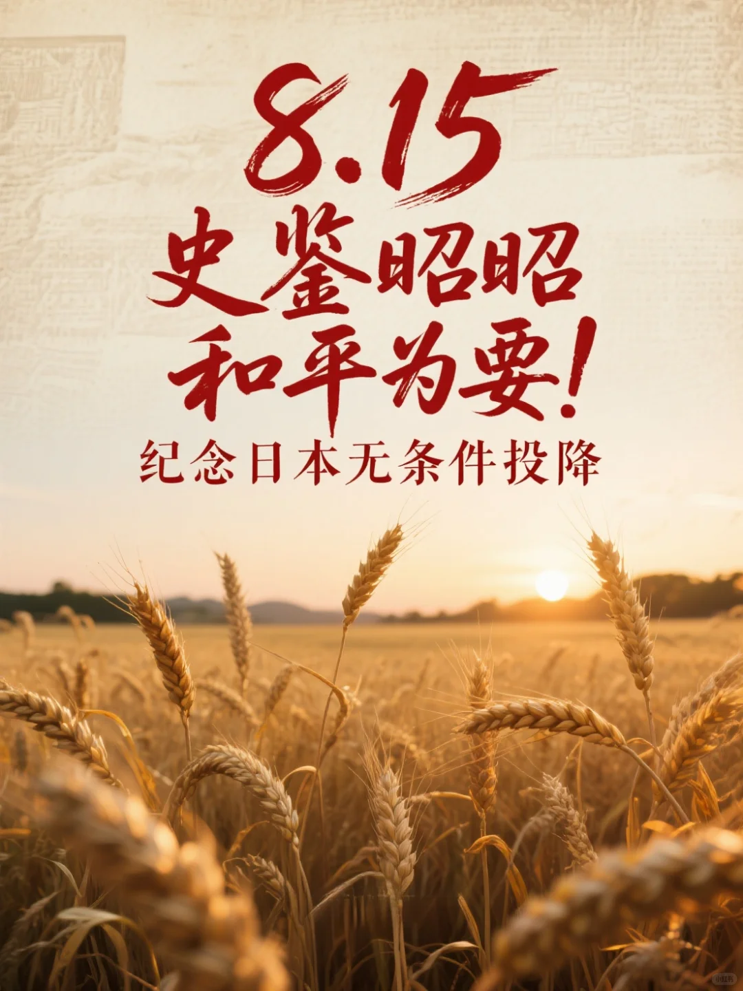 8.15终战日，吾辈接力护山河🌍