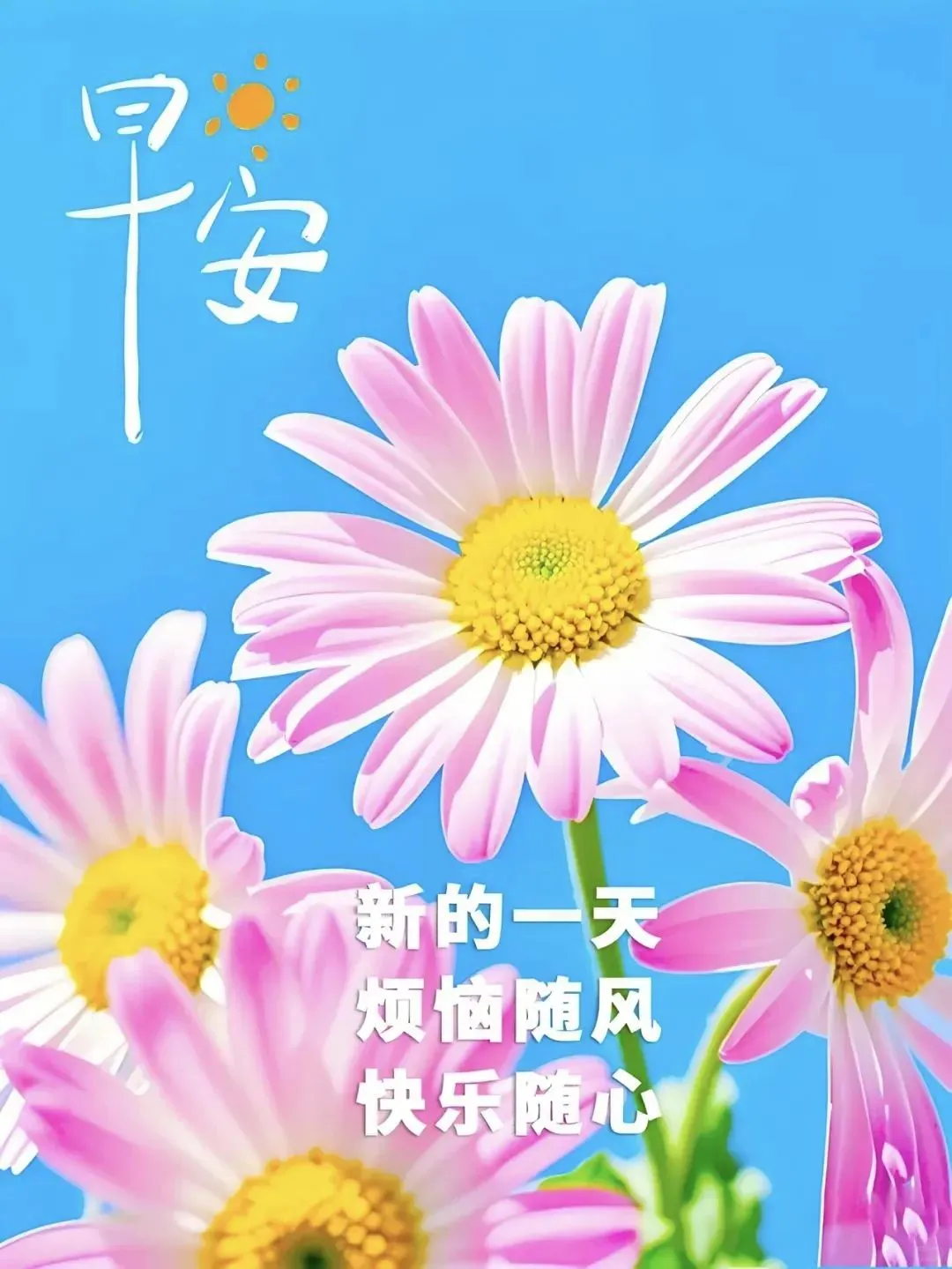 早安图片免费分享，愿你早安，万事如意