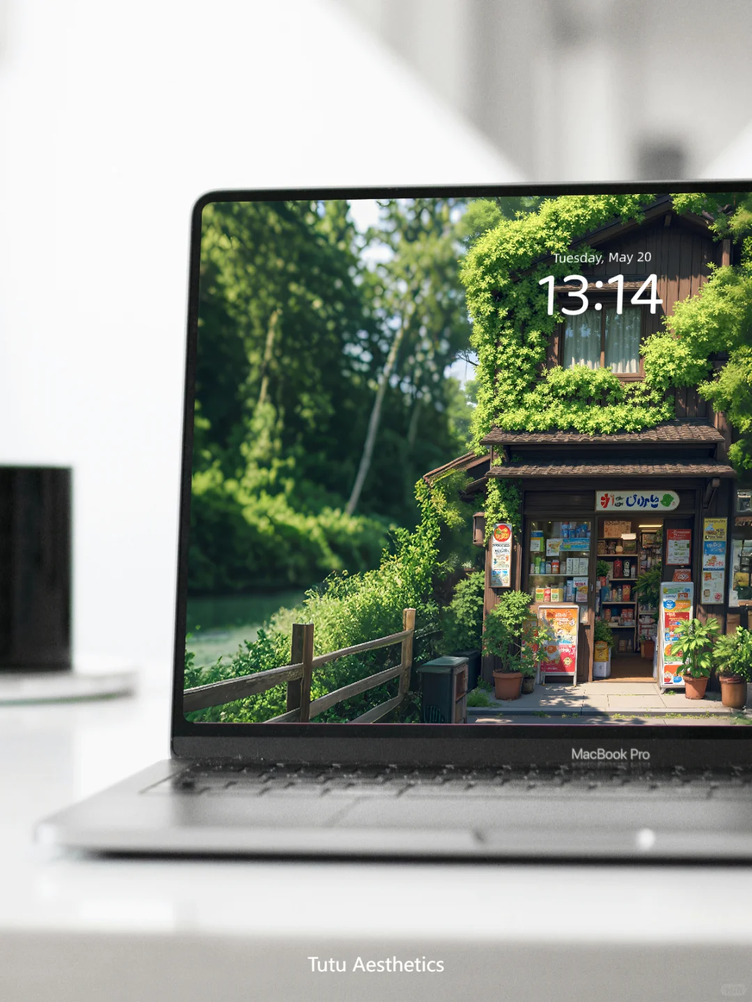 🌿 藏在绿植里的「治愈小店」壁纸