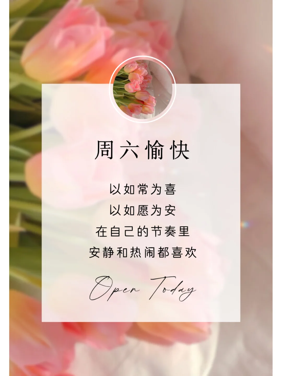 一周七天不重样日签｜朋友圈早安文案海报