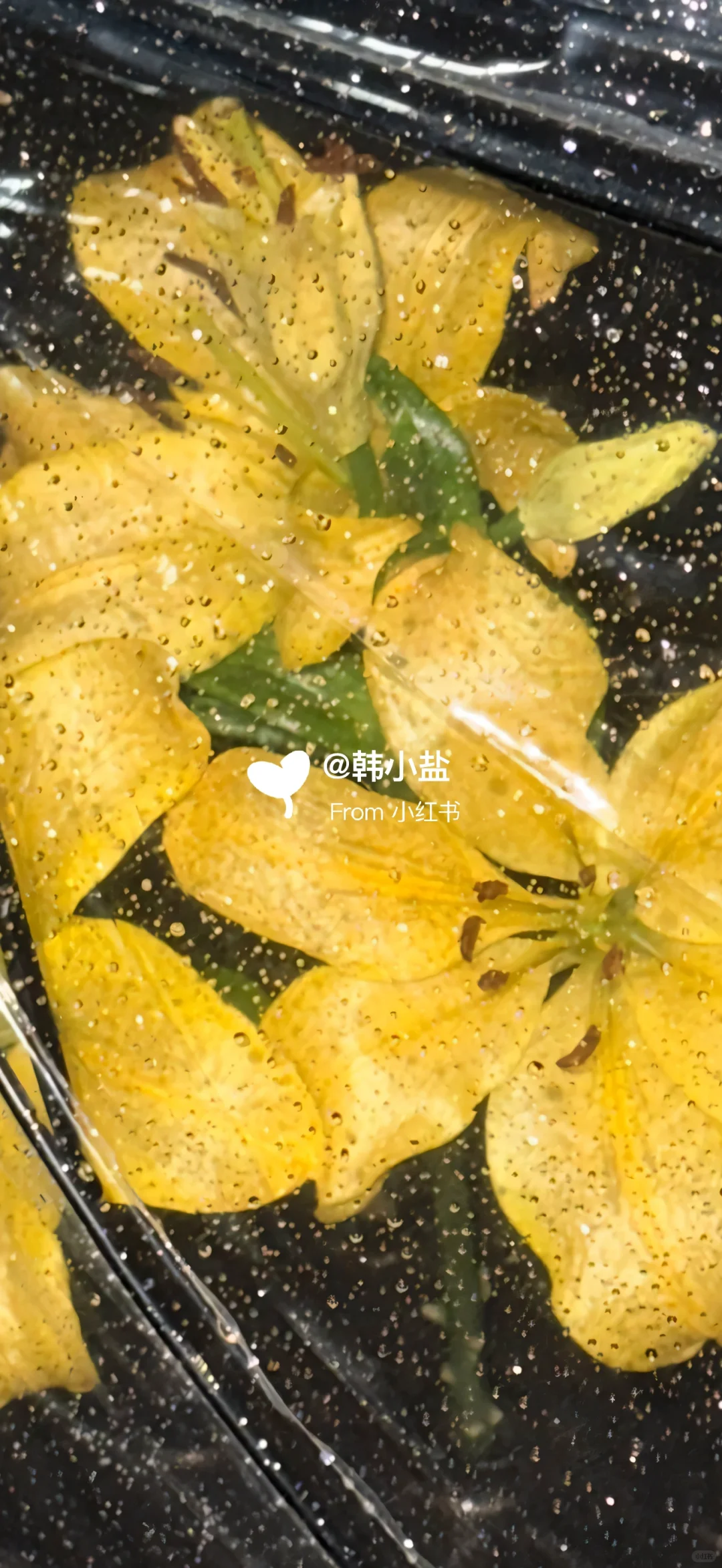 📆日历壁纸𝐒𝐡𝐚𝐫𝐞 ◡̈°｜潮湿的圣光