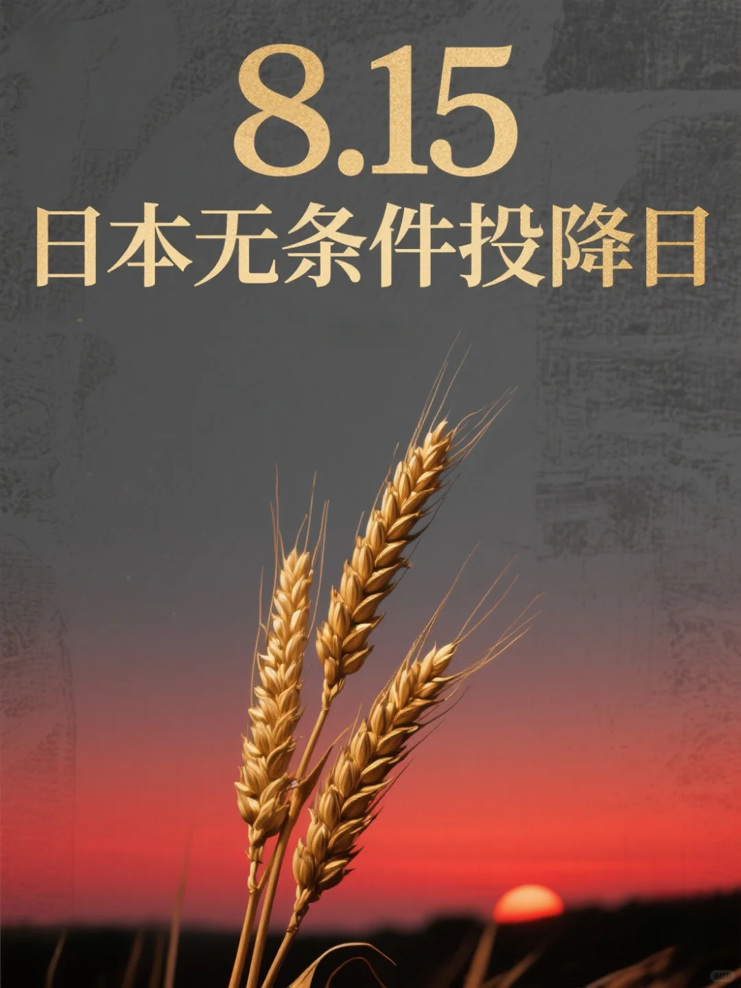 8.15终战日，吾辈接力护山河🌍