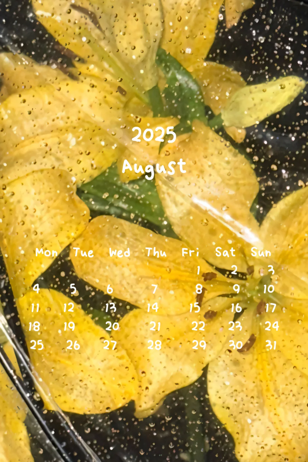 📆日历壁纸𝐒𝐡𝐚𝐫𝐞 ◡̈°｜潮湿的圣光