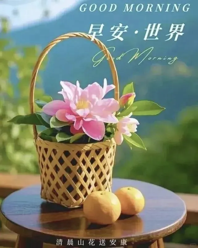 早安图片免费分享，愿你早安，万事如意