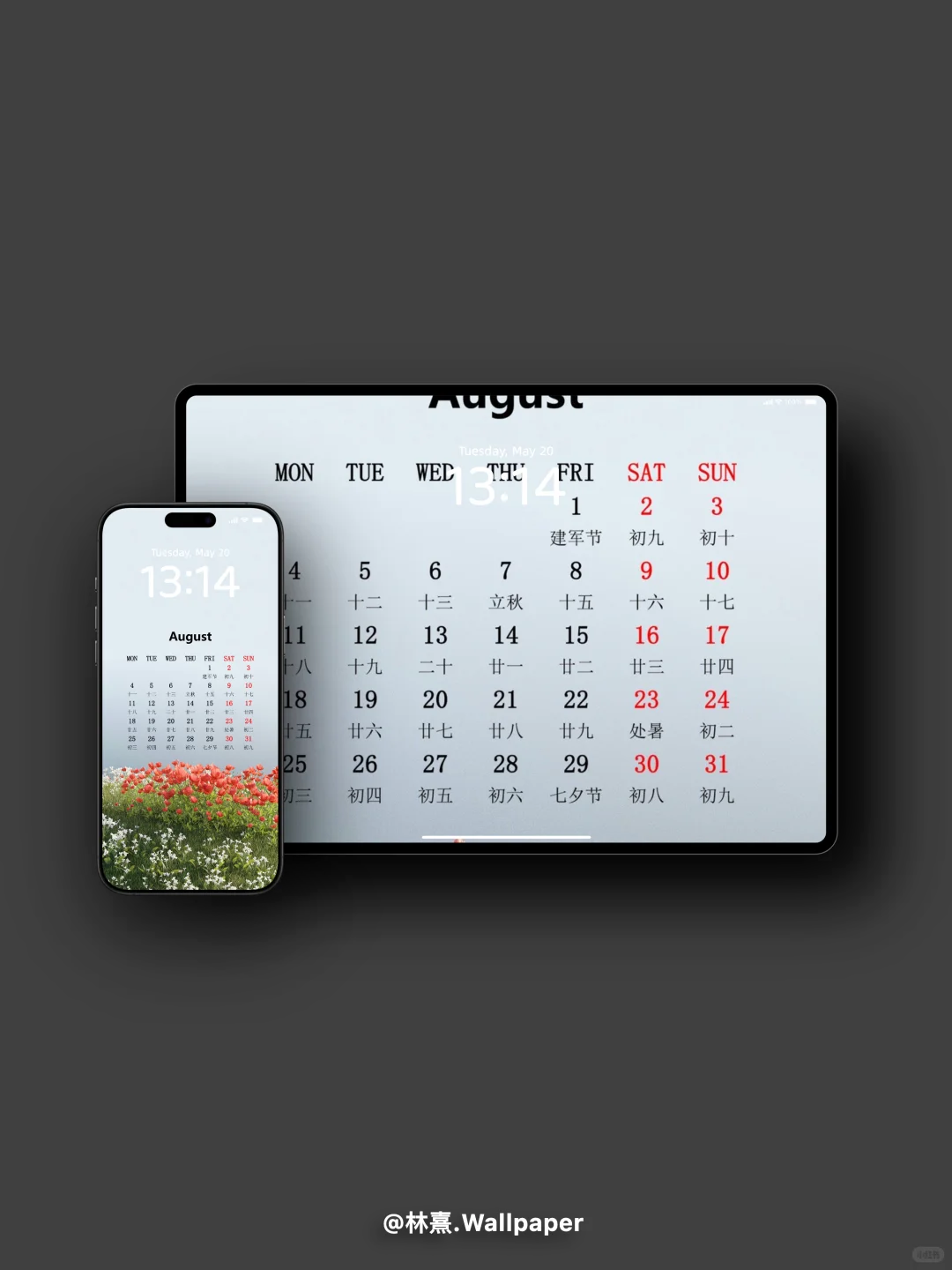 8月日历壁纸◼️花朵和天空的壁纸～💐