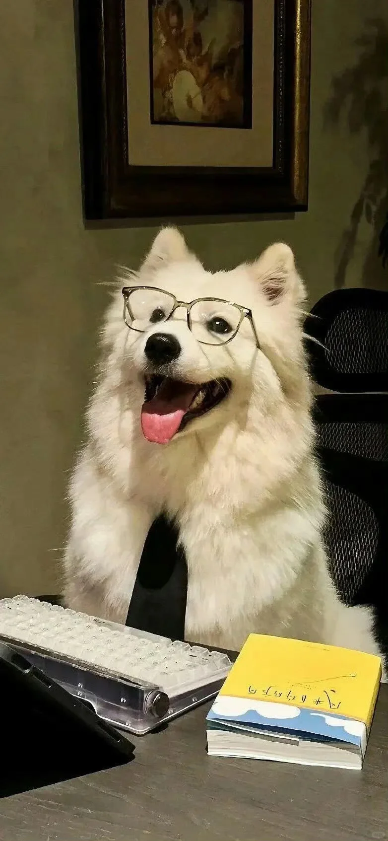 用不完的壁纸