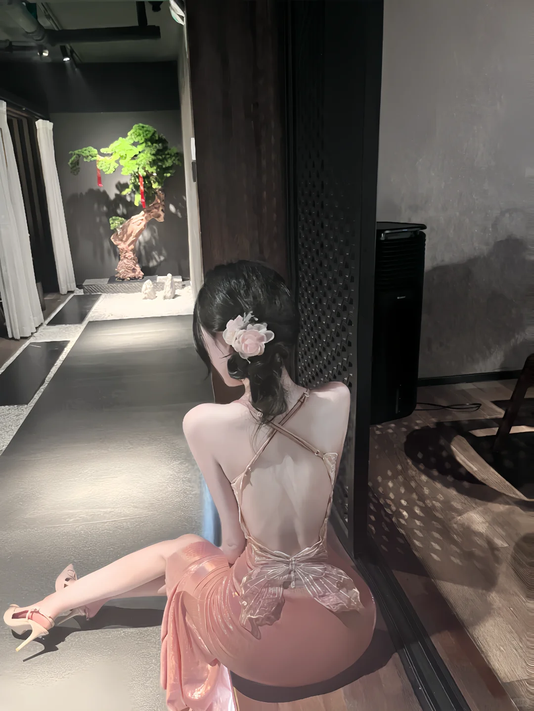 梦蝶～