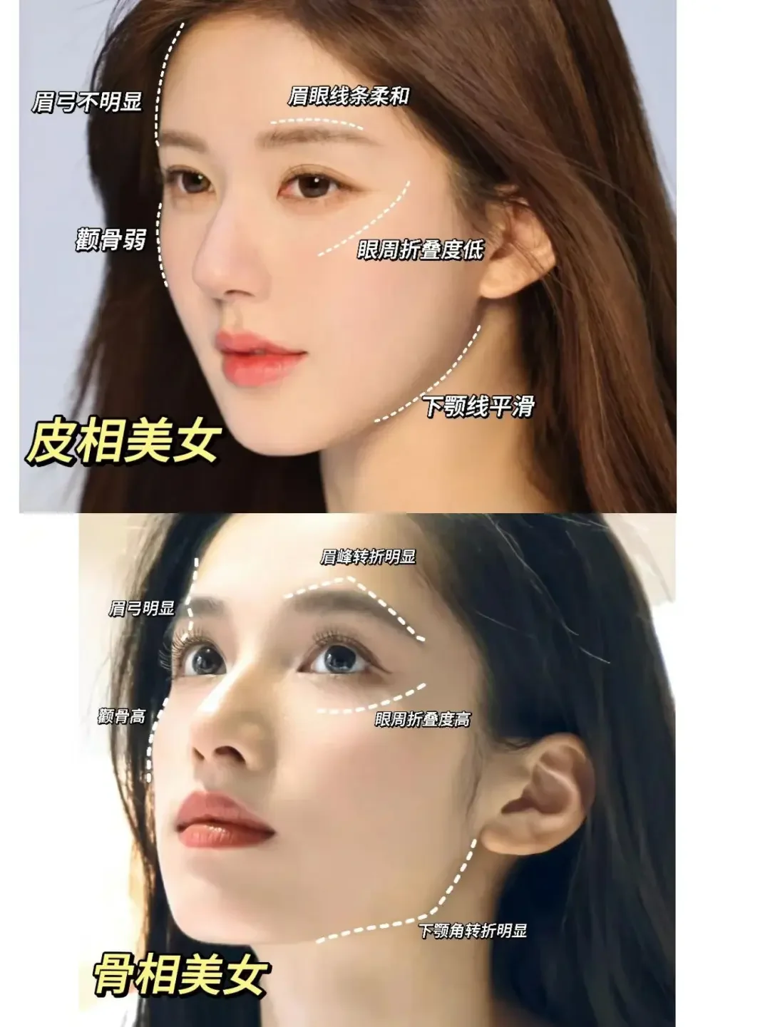 骨相脸和皮相脸的差异在哪里?