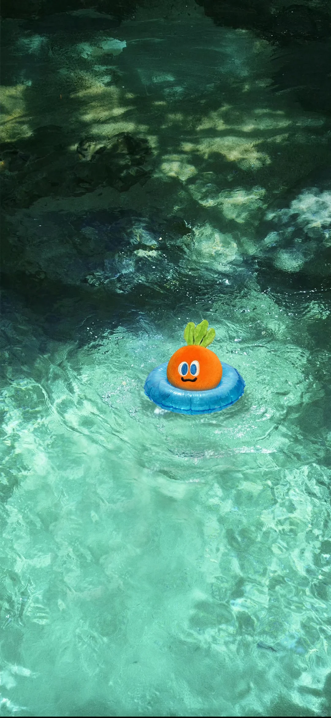 🥕SheHerHerHers卜璃海