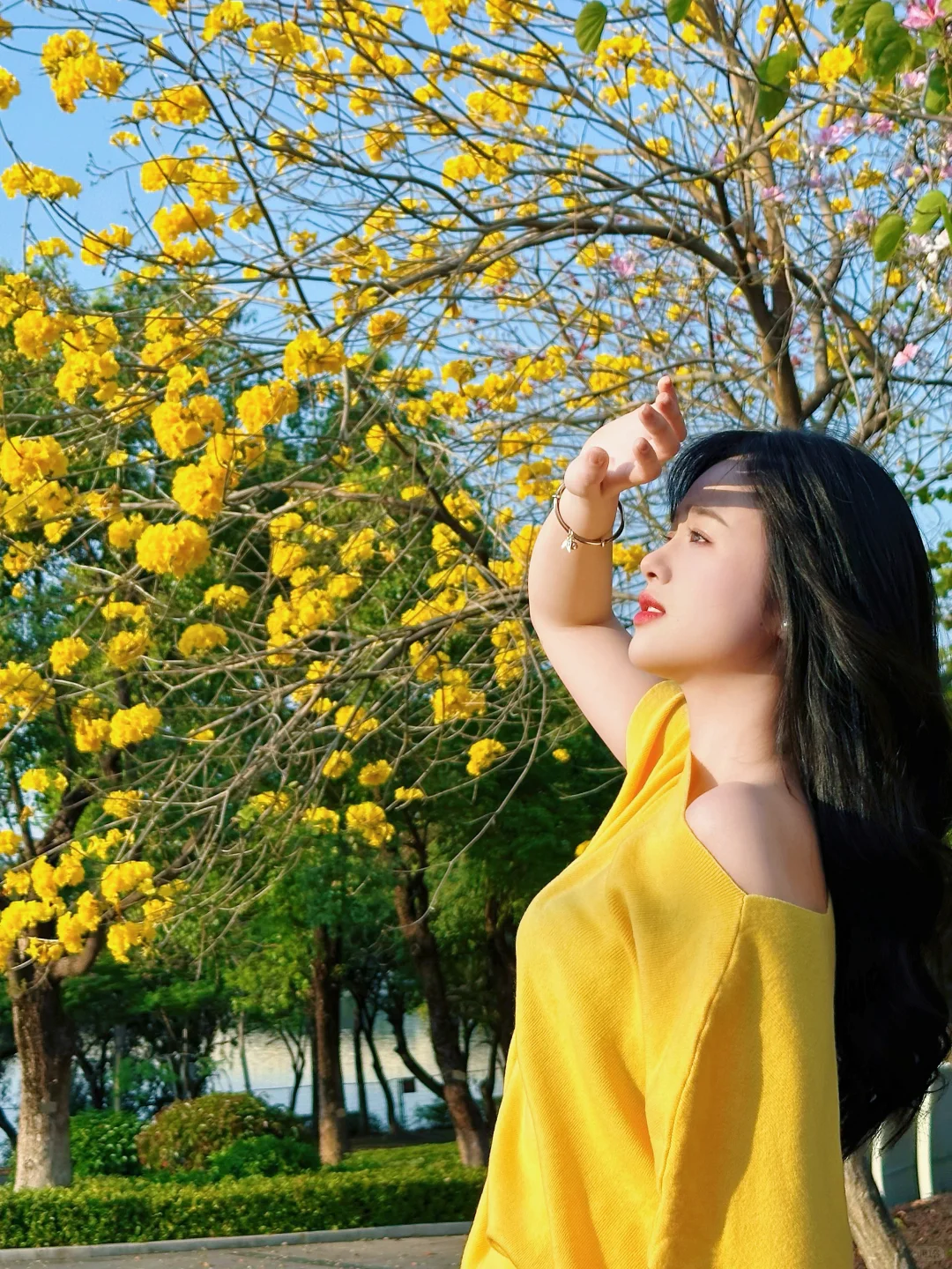 别再乱摆！这套拍照姿势与黄花风铃木绝配