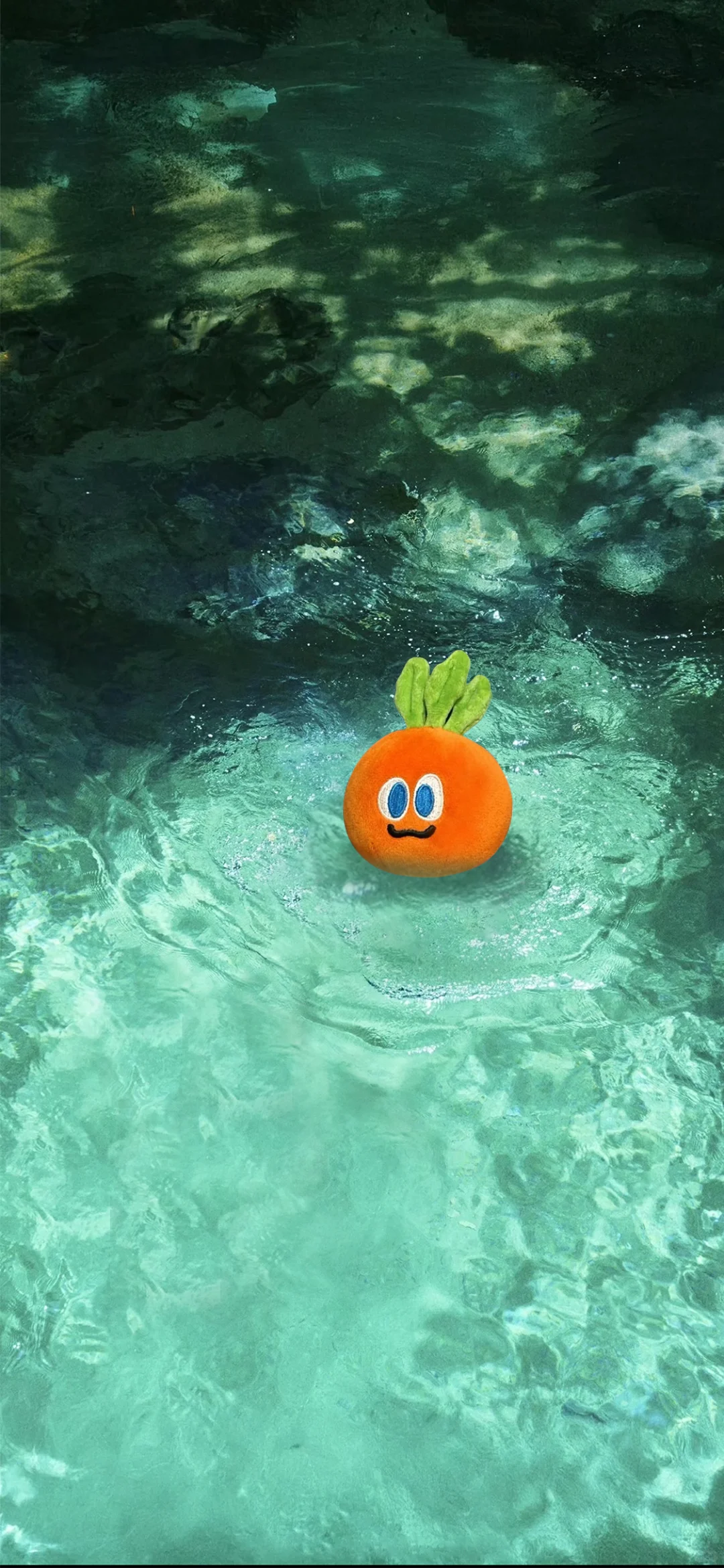 🥕SheHerHerHers卜璃海