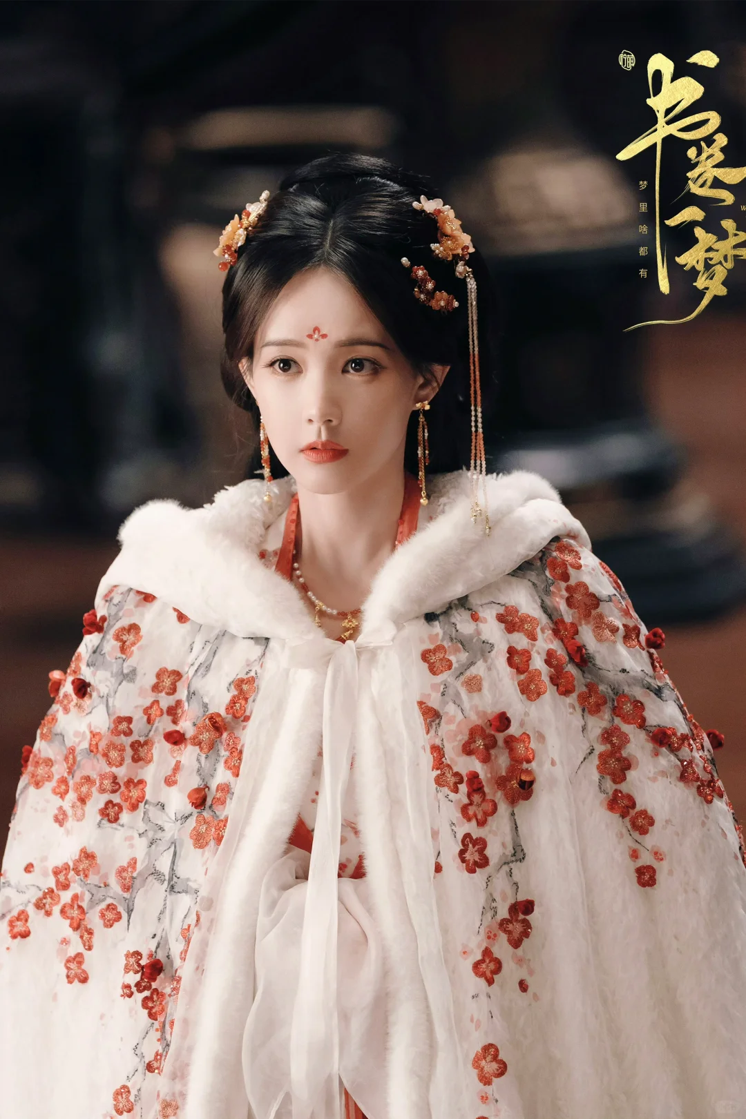 【书卷一梦·造型合集】女装