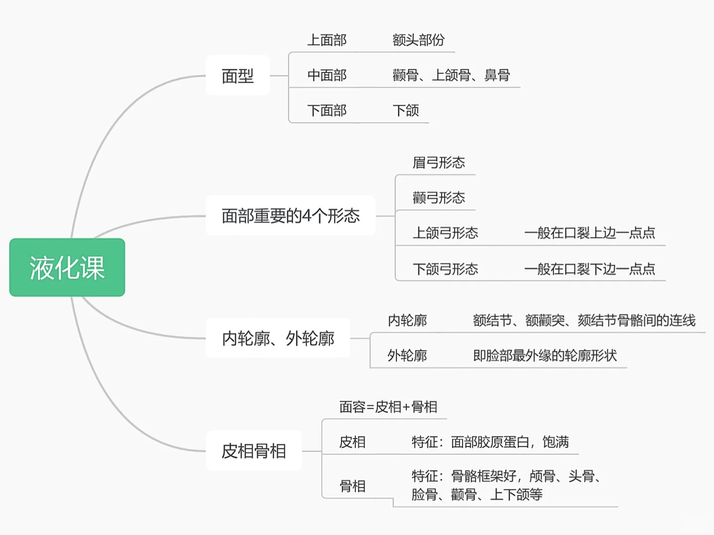 学修图六十一天｜液化篇｜面部整体美学