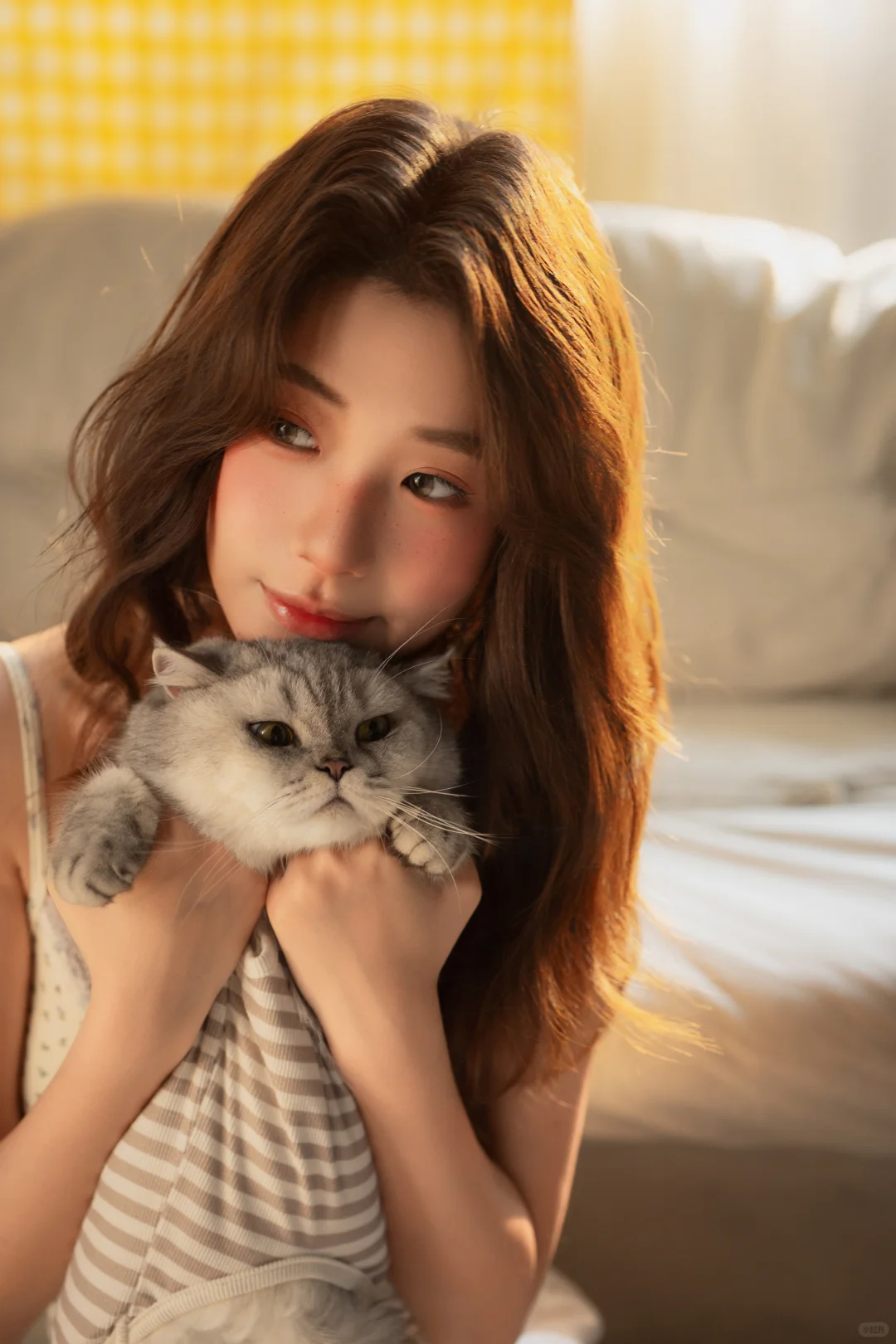 情绪私房🎬猫咪写真