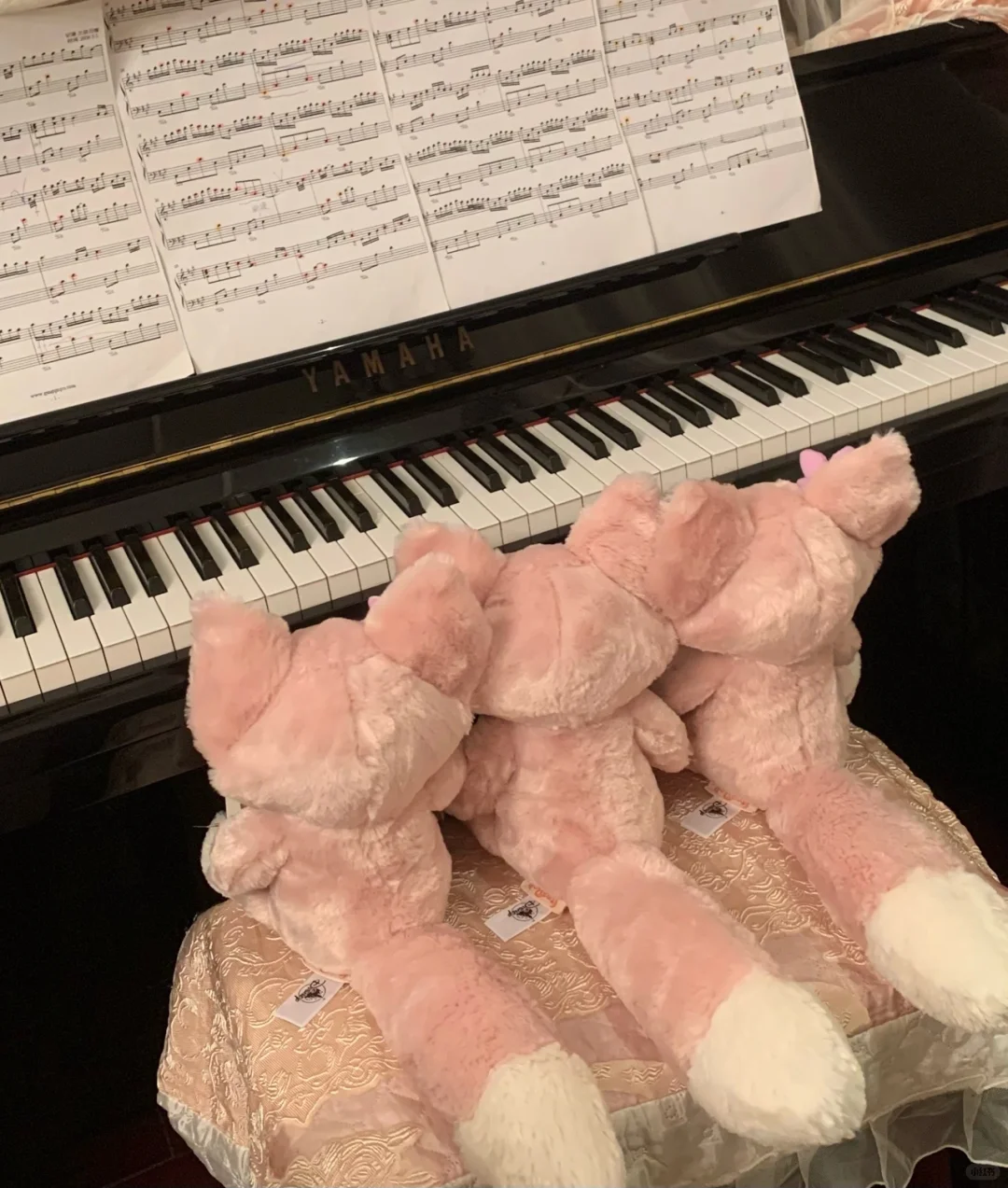 Linabell弹琴琴🎹