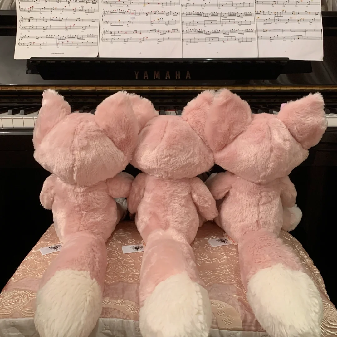 Linabell弹琴琴🎹