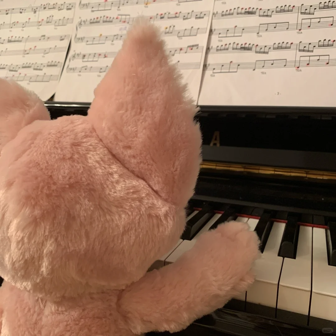 Linabell弹琴琴🎹
