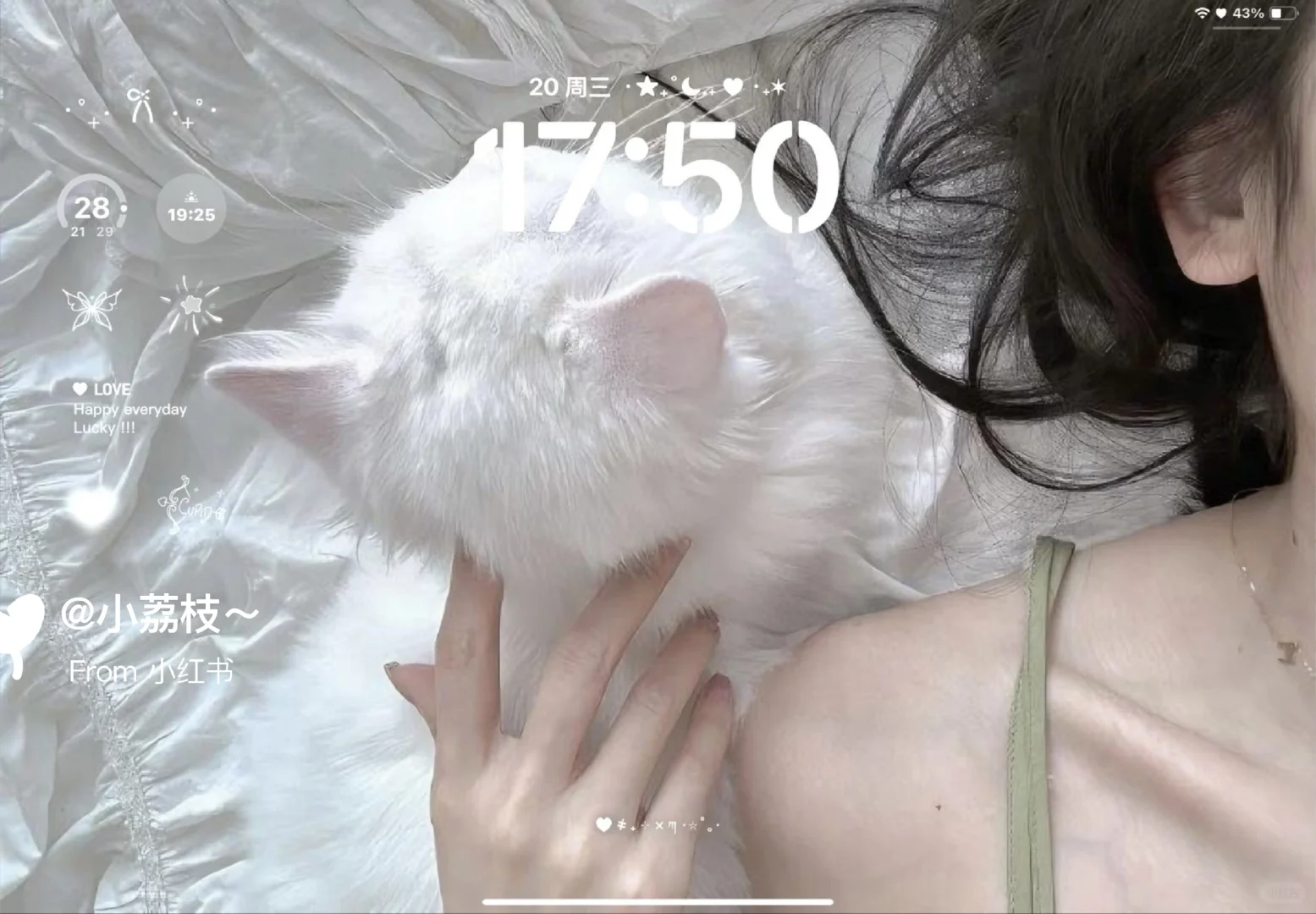 ipad壁纸分享  |  囤壁纸✨✨