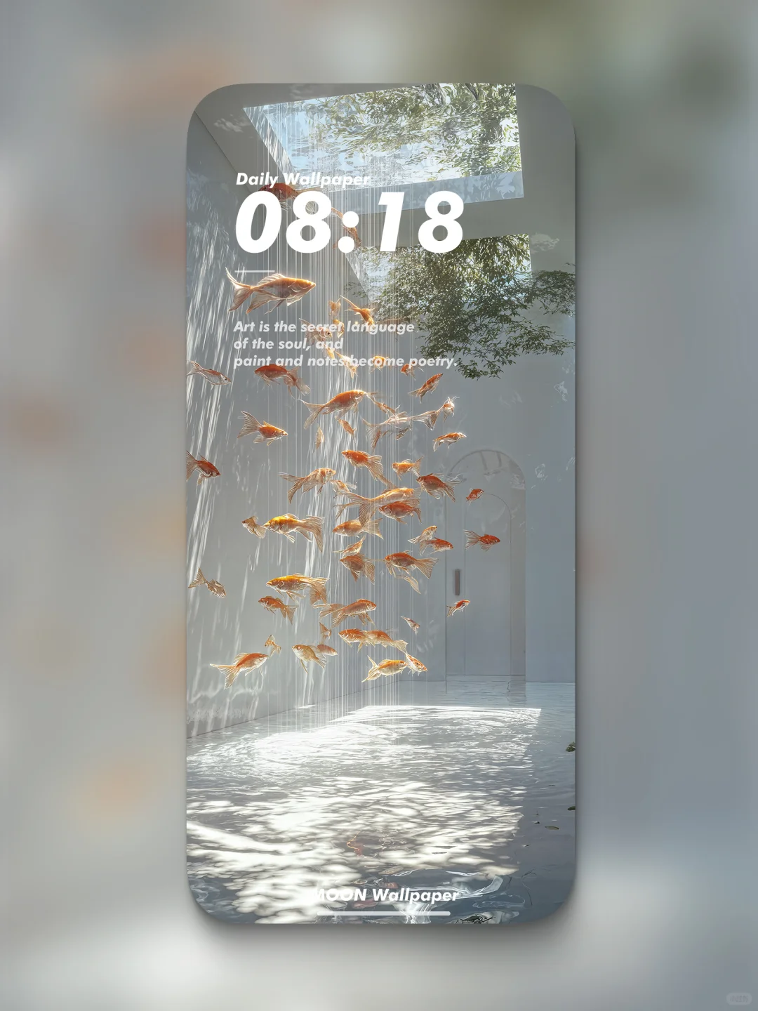 Y53🐟「浮鳞」神明的鱼缸清洁日🌫