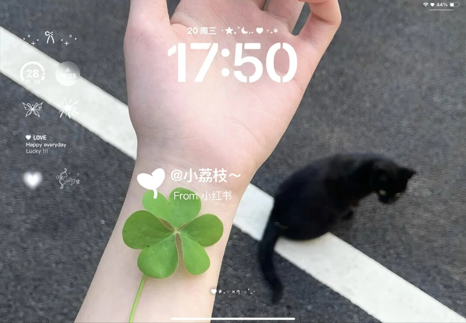 ipad壁纸分享  |  囤壁纸✨✨