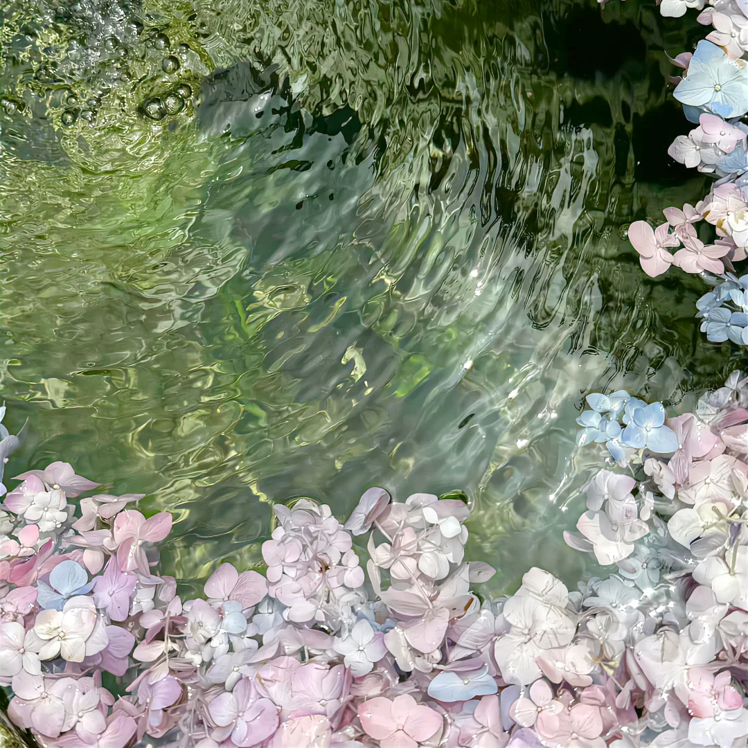 春-𝗪𝗲𝗖𝗵𝗮𝘁背景图