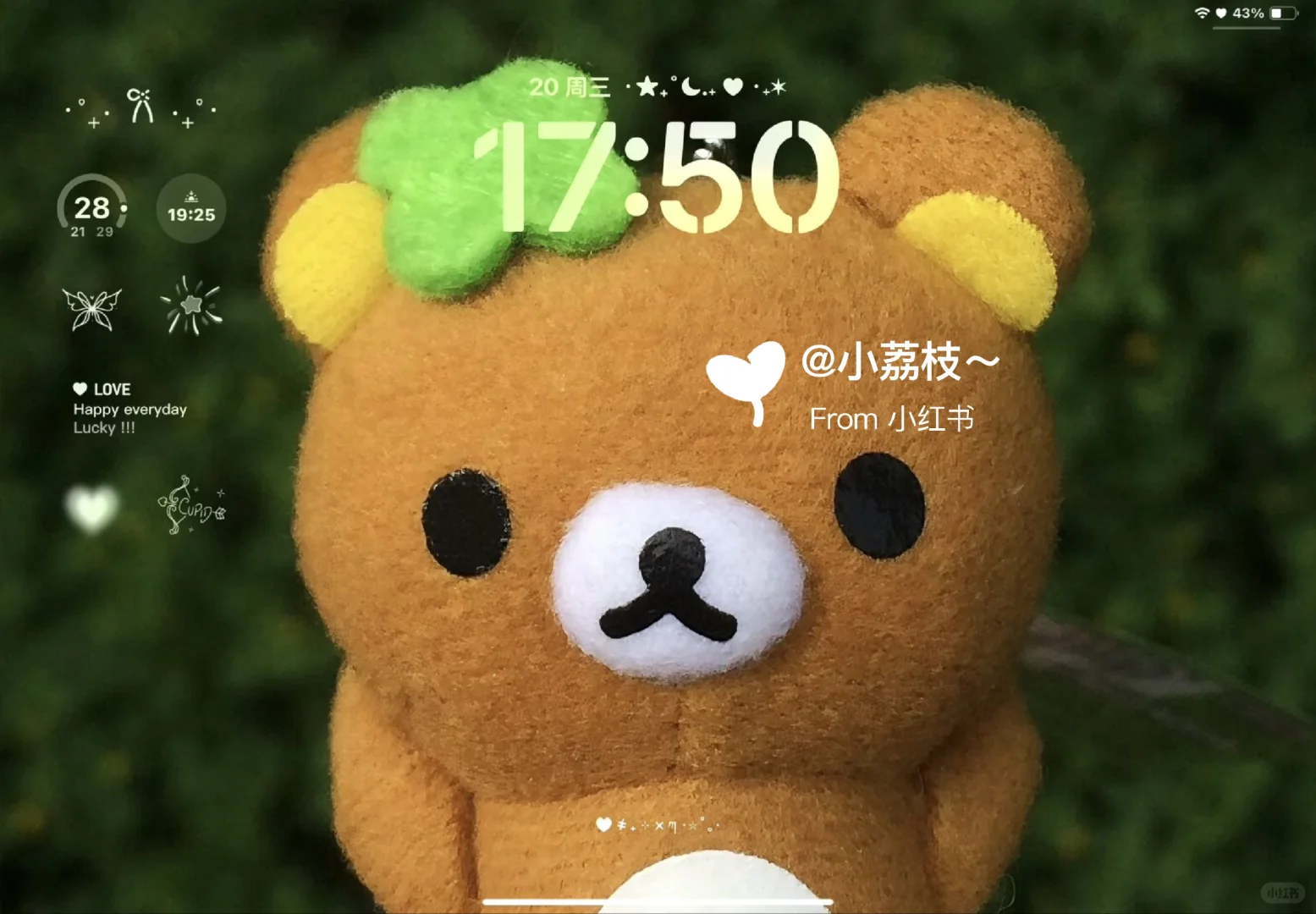 ipad壁纸分享  |  囤壁纸✨✨
