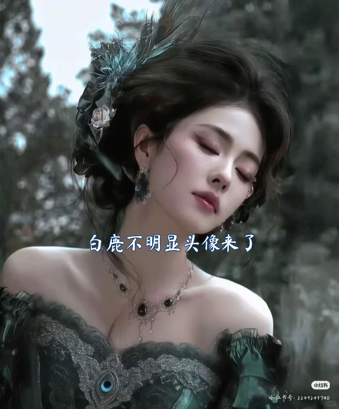 白鹿不明显头像来了，谁会没有