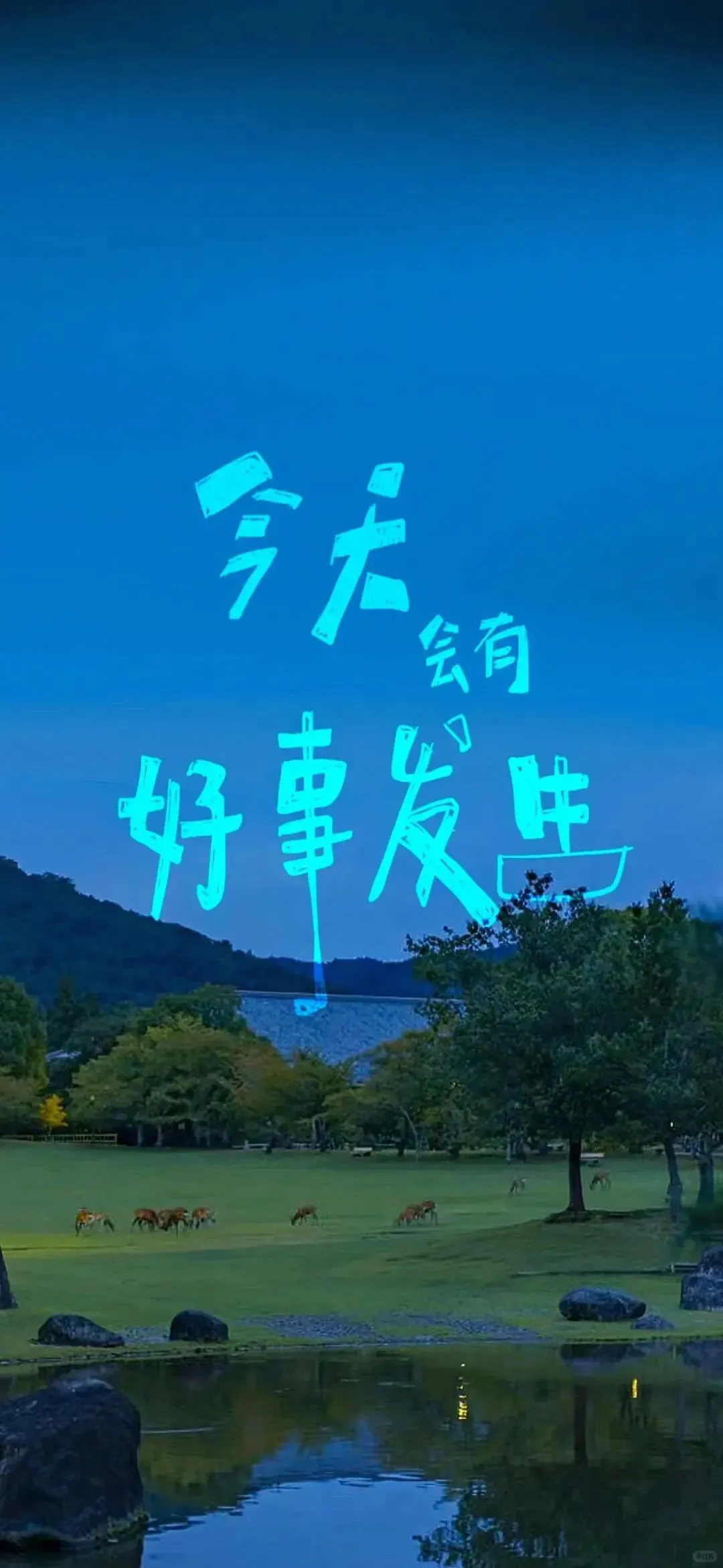𝙬𝙖𝙡𝙡𝙥𝙖𝙥𝙚｜治愈系