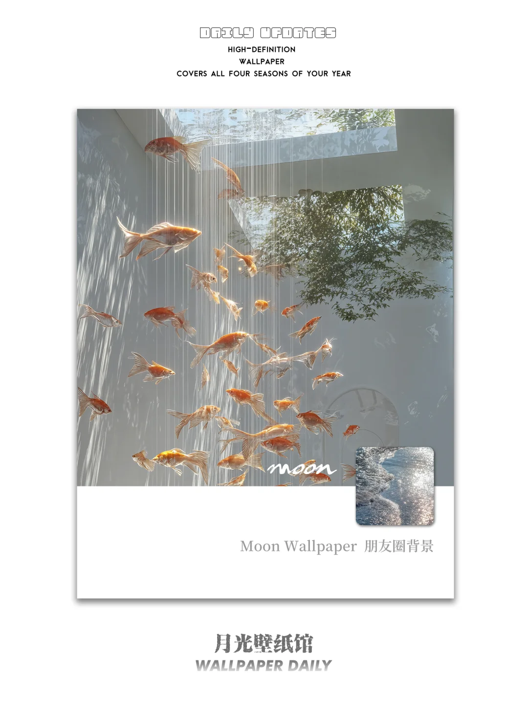 Y53🐟「浮鳞」神明的鱼缸清洁日🌫