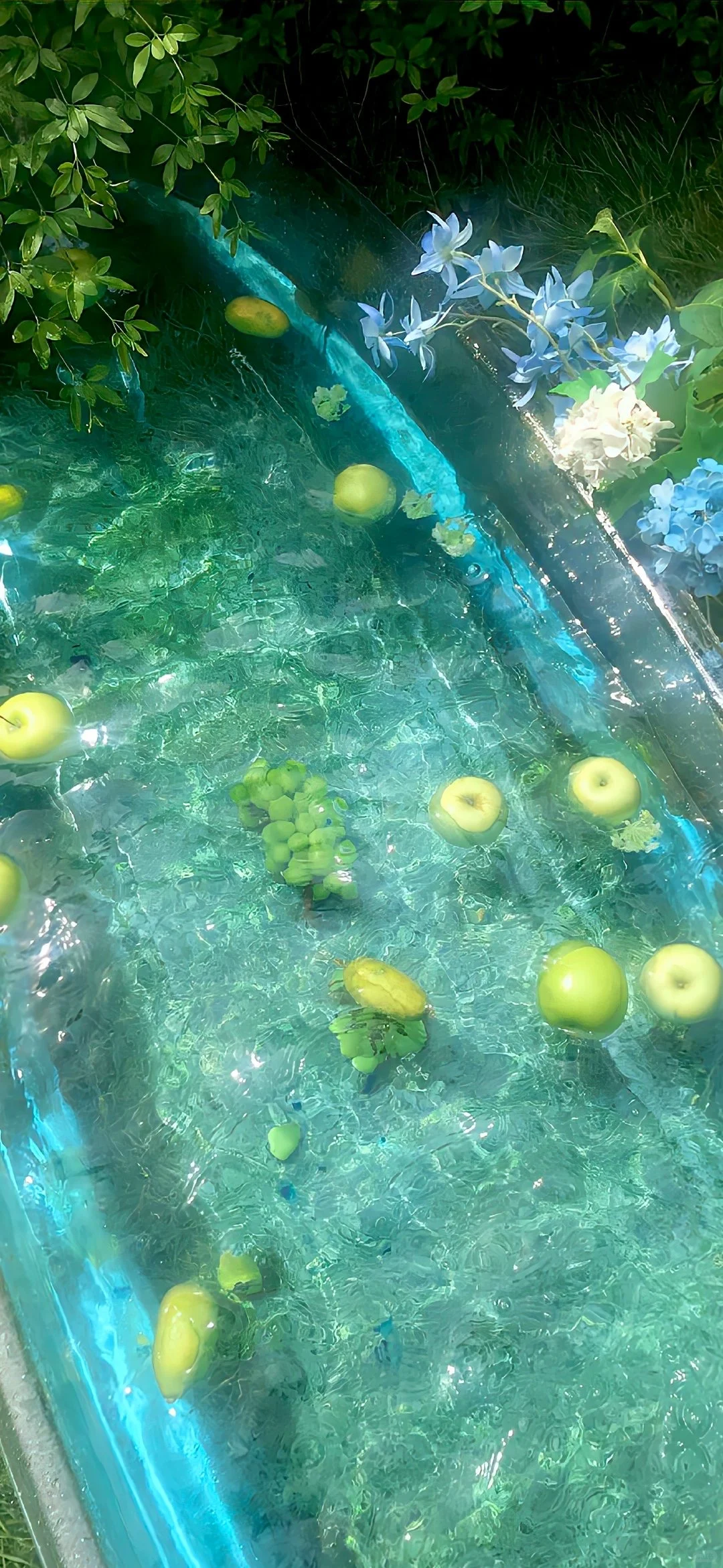 一期夏日壁纸/自截壁纸分享˚ʚ 🫧 ₊˚✧ ﾟ🩵