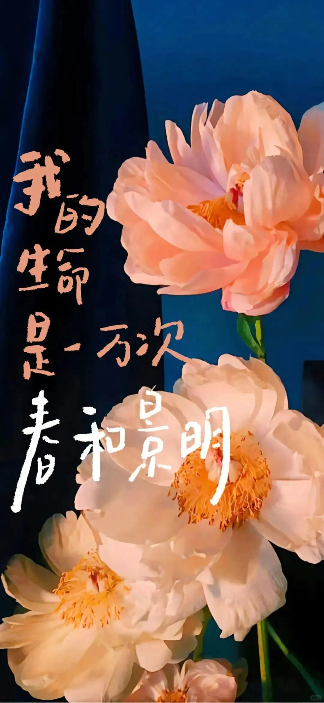 𝙬𝙖𝙡𝙡𝙥𝙖𝙥𝙚｜治愈系