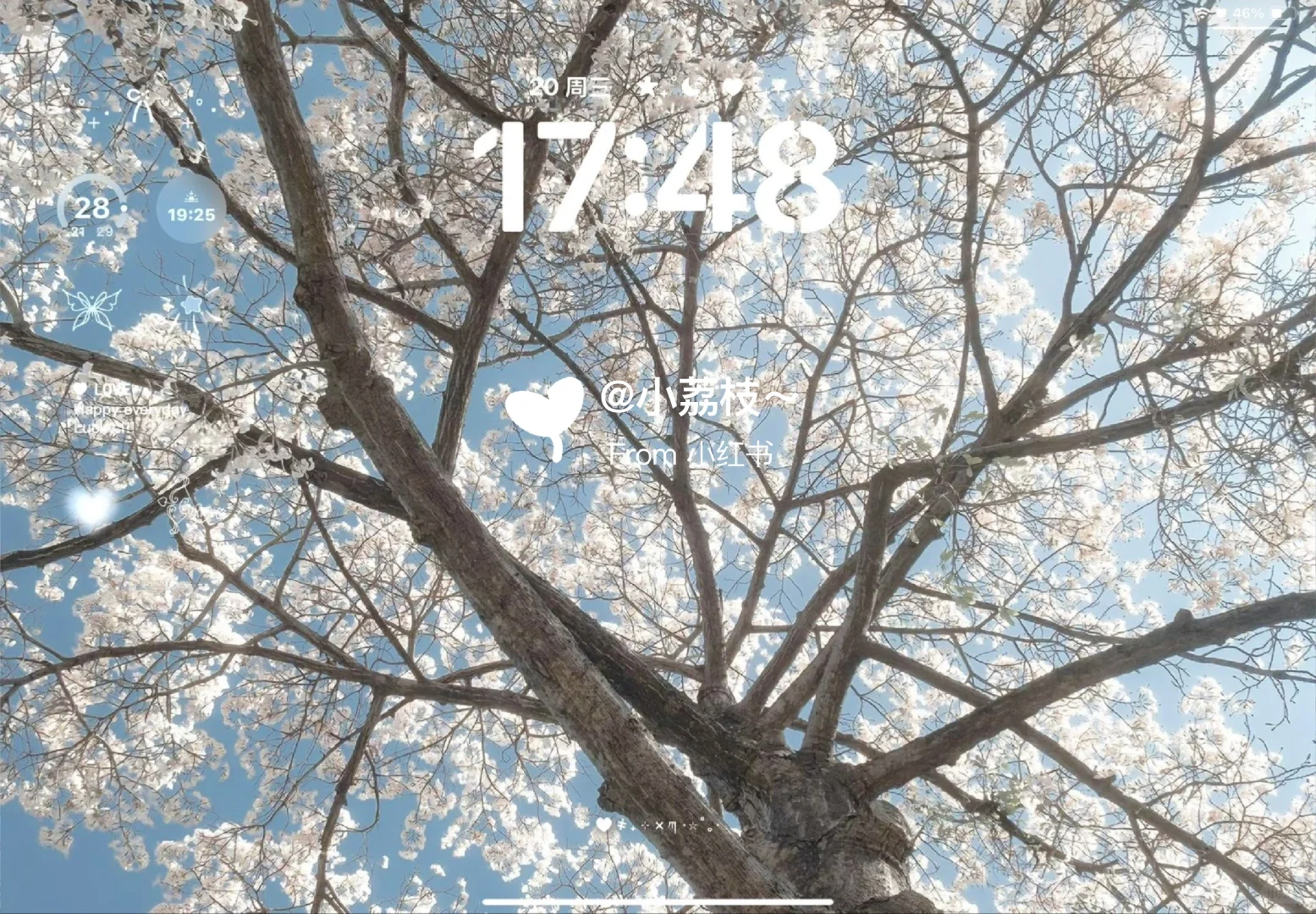 ipad壁纸分享  |  囤壁纸✨✨