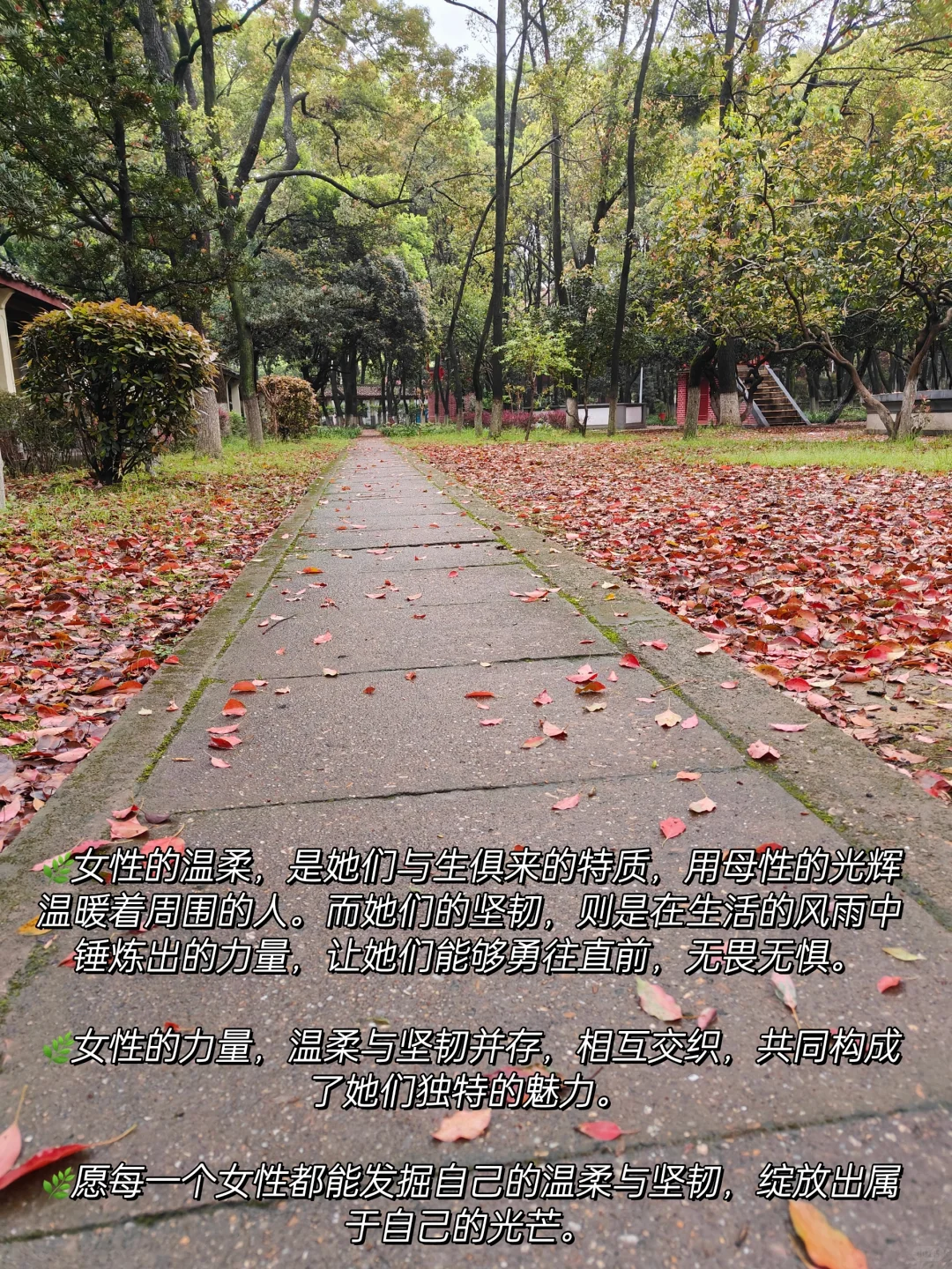 女性力量，一半温柔如水，一半坚韧如钢
