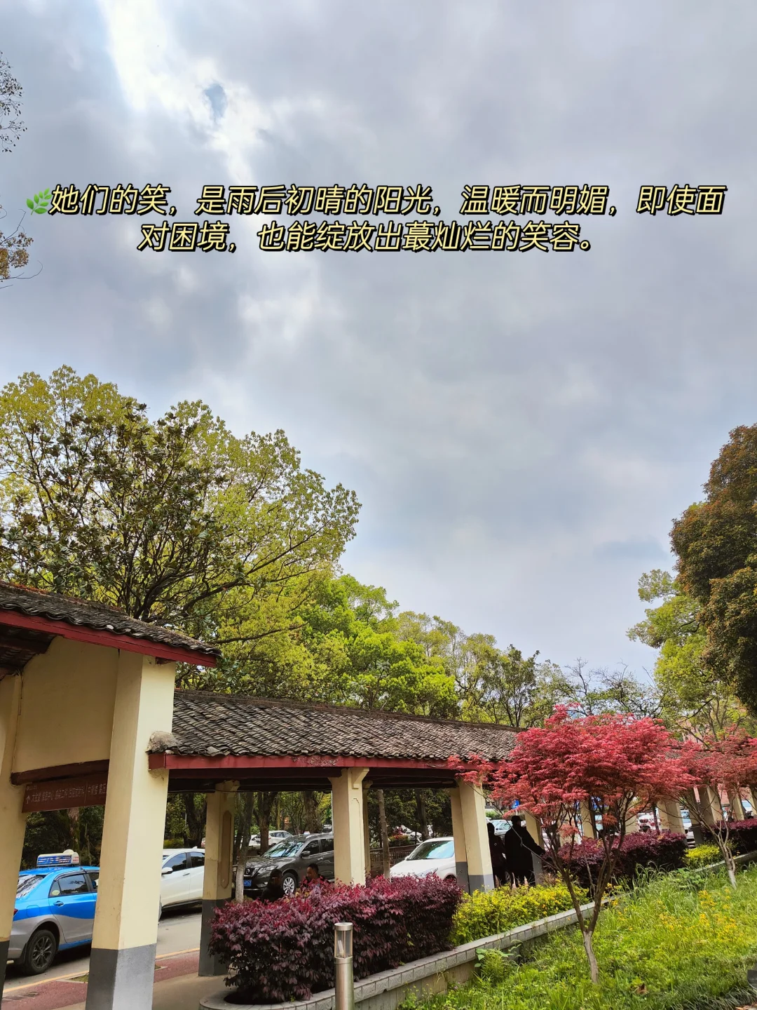 女性力量，一半温柔如水，一半坚韧如钢