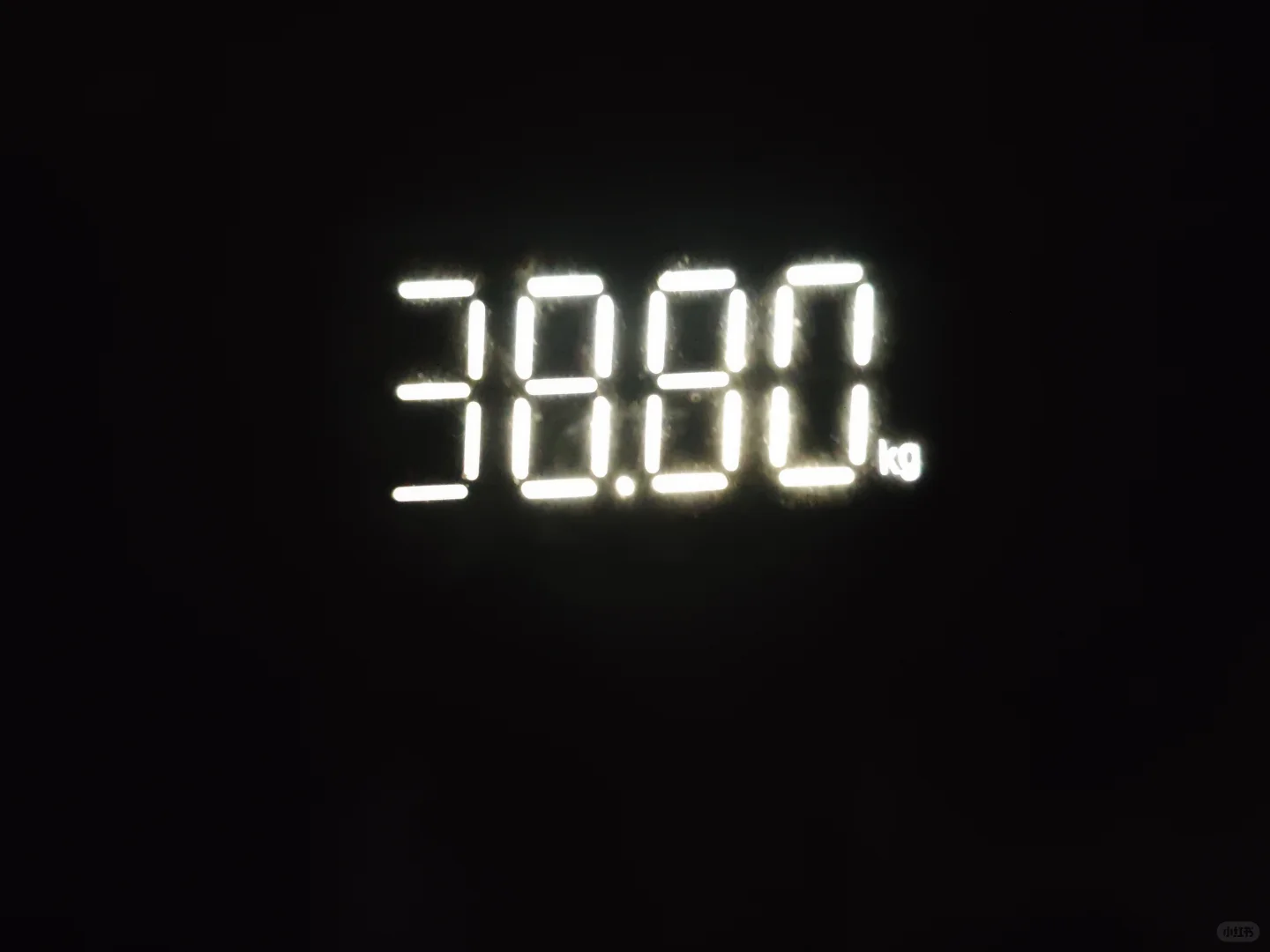 1600卡后续来啦！这次两个称一起上！