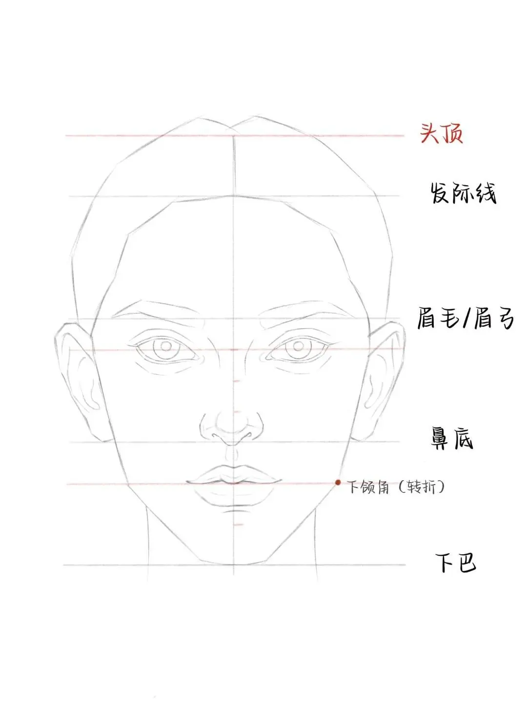 🎨标准面部比例画法全解析
