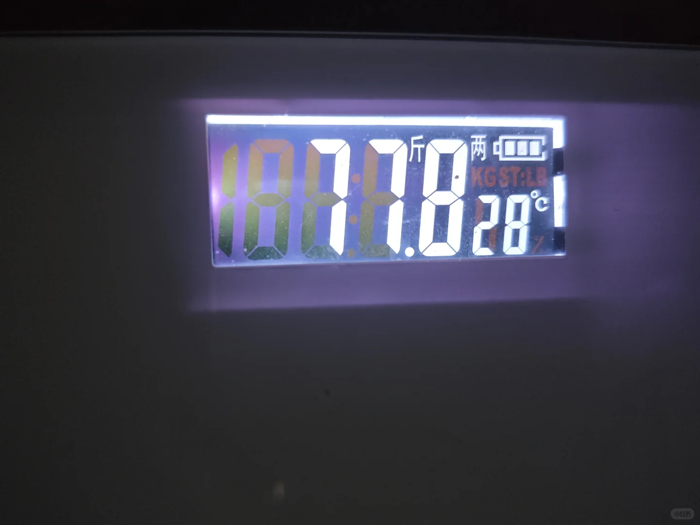 1600卡后续来啦！这次两个称一起上！