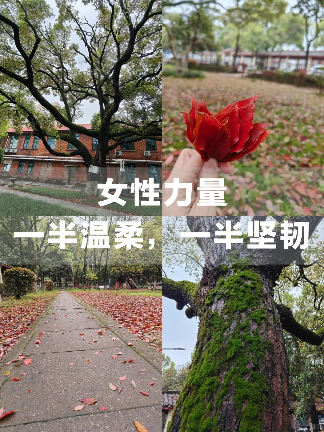 女性力量，一半温柔如水，一半坚韧如钢