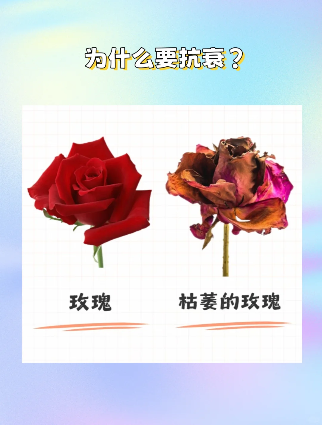 为什么美女都执着抗衰，直观感受一下