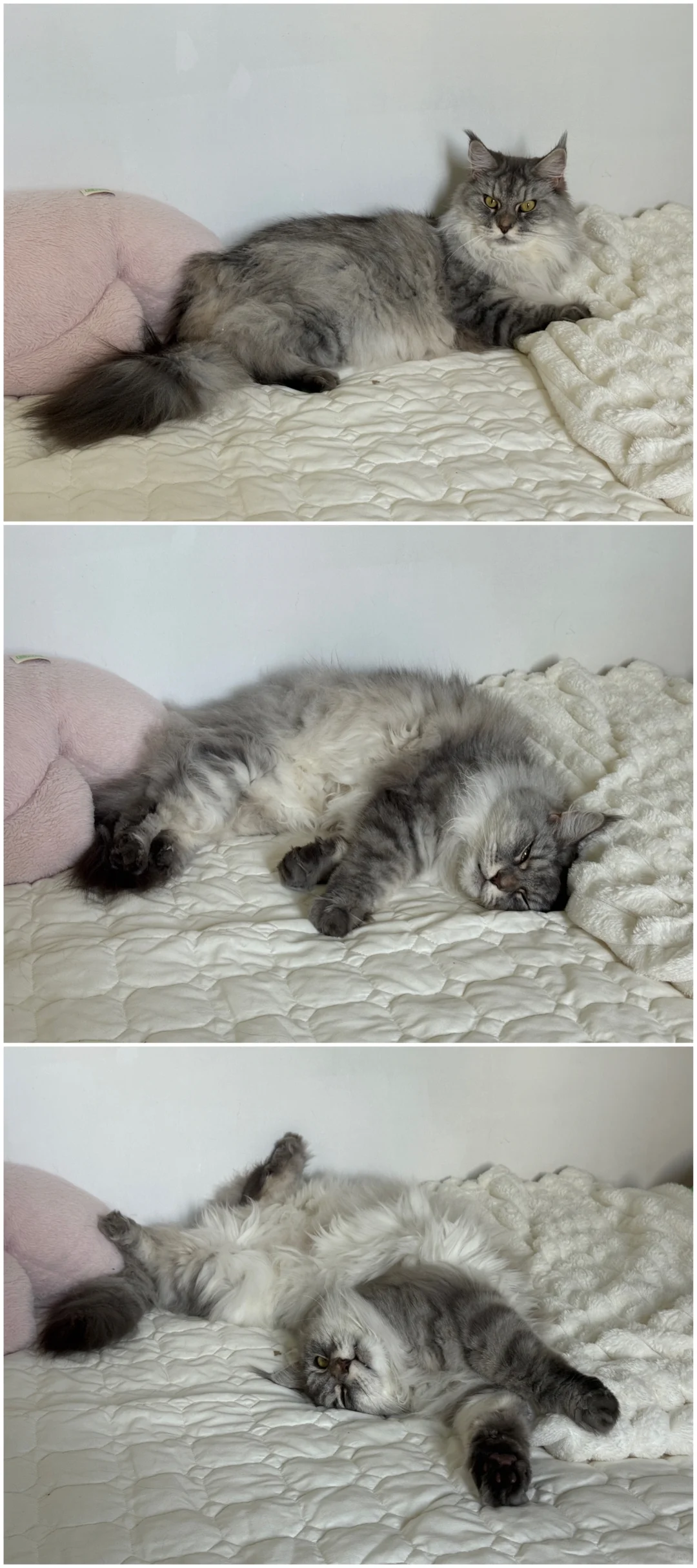 惊！女明星私房照曝光