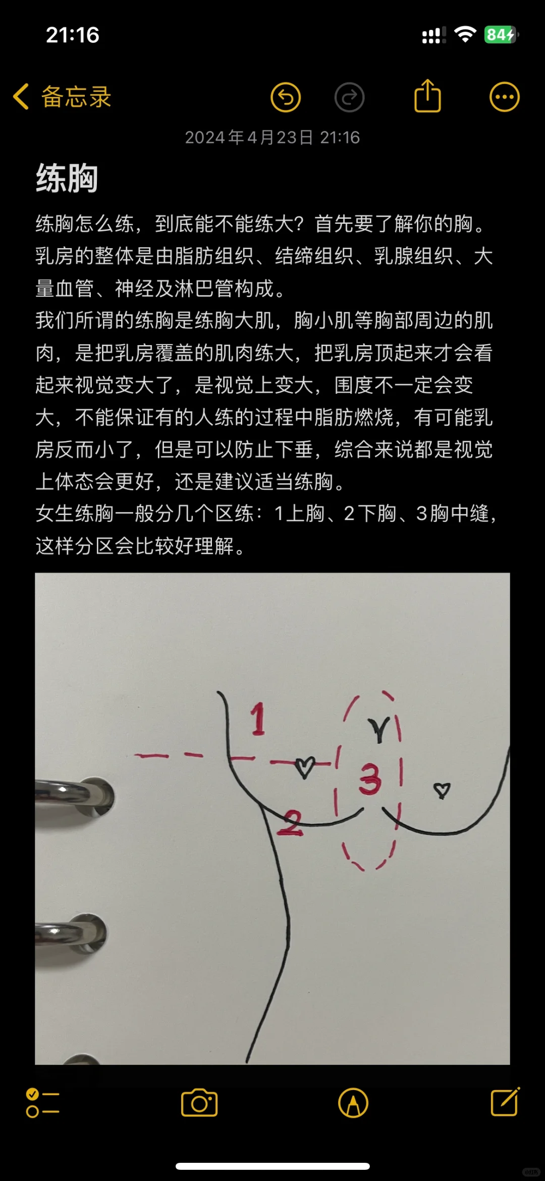 谁说练胸会变大