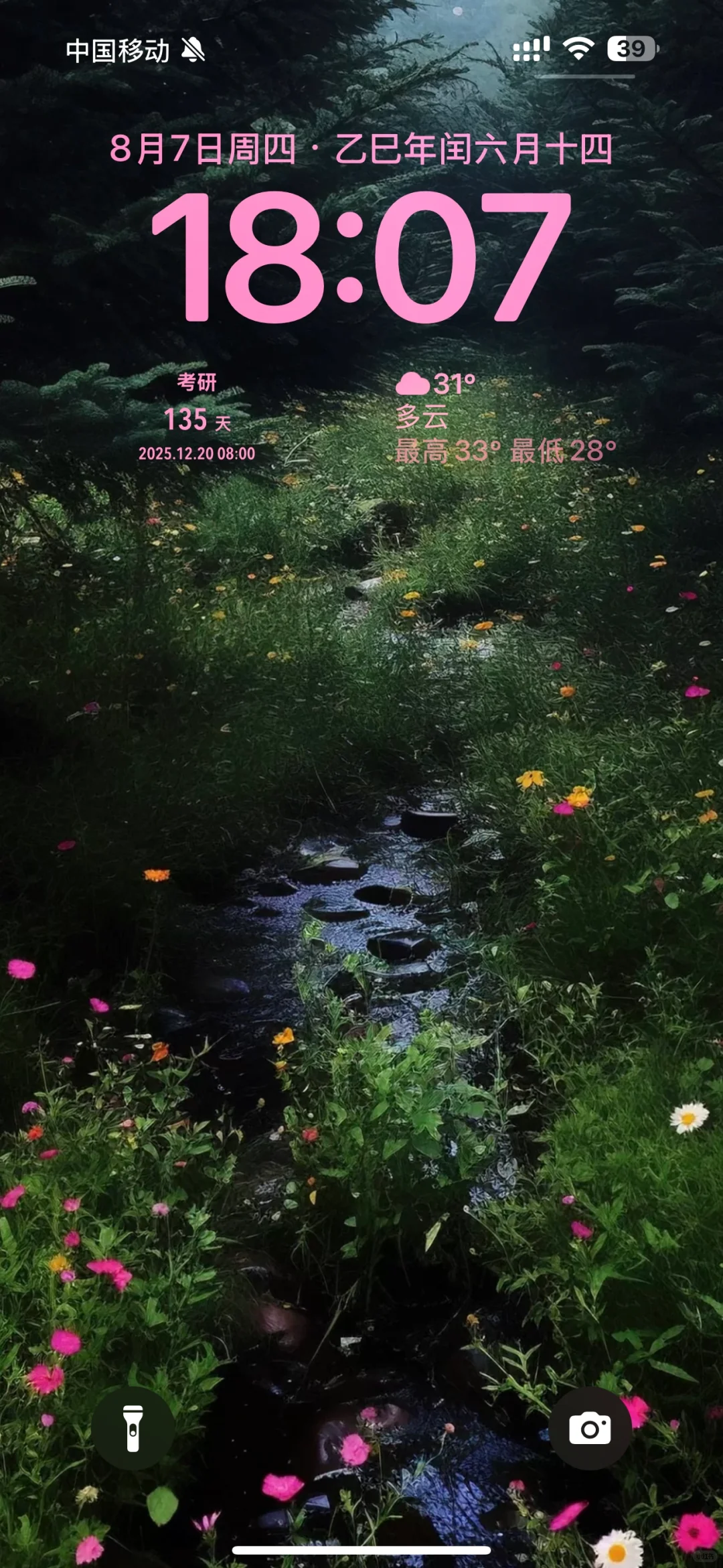 也是用上赵露思同款壁纸了
