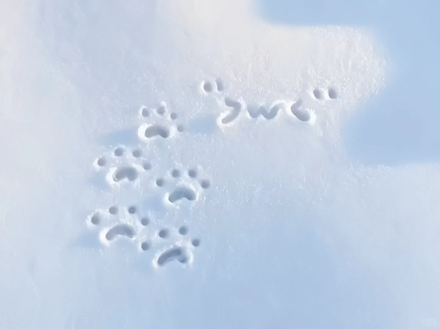 𝐢𝐩𝐚𝐝壁纸｜初恋の雪❄️