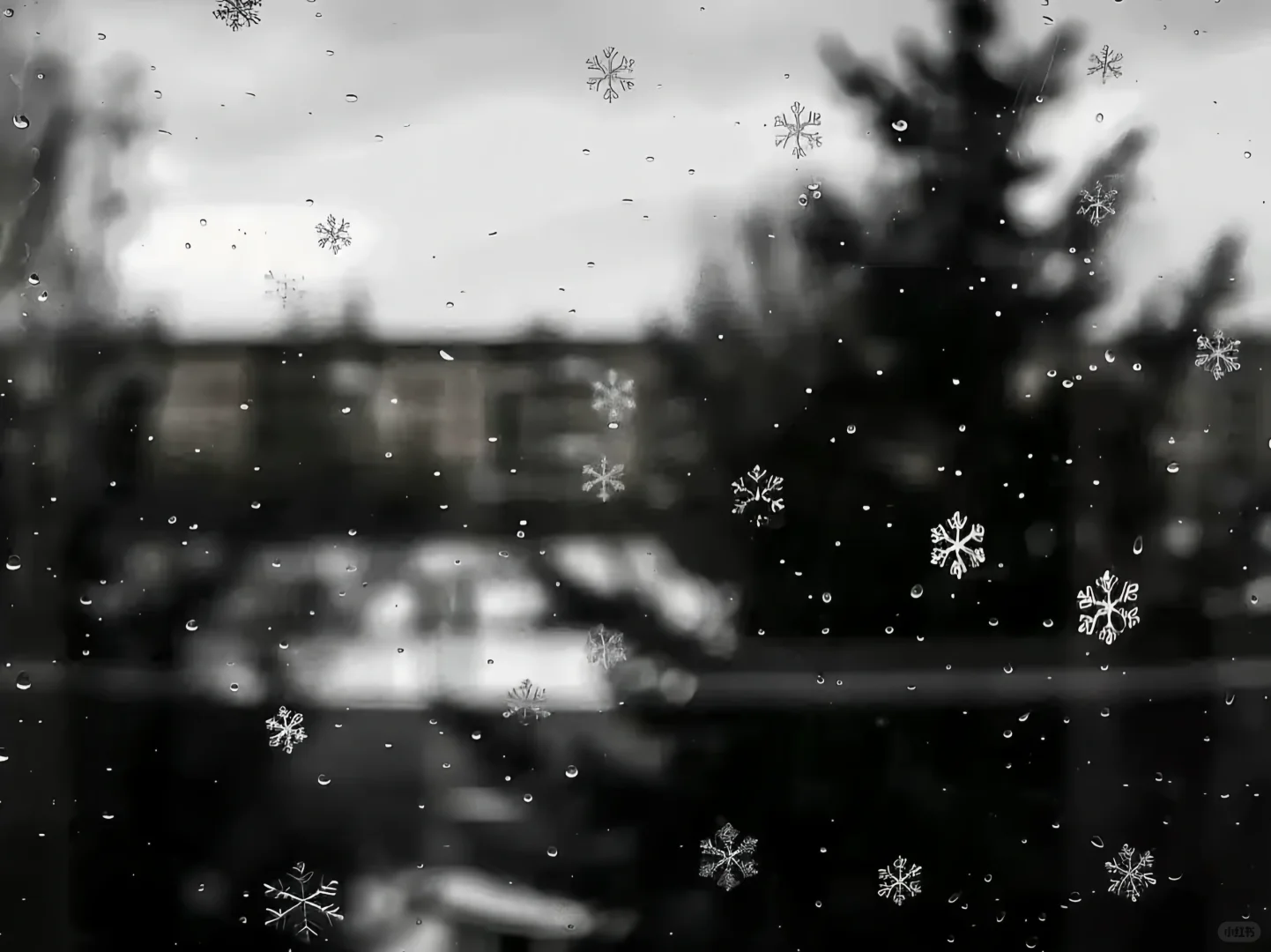 𝐢𝐩𝐚𝐝壁纸｜初恋の雪❄️