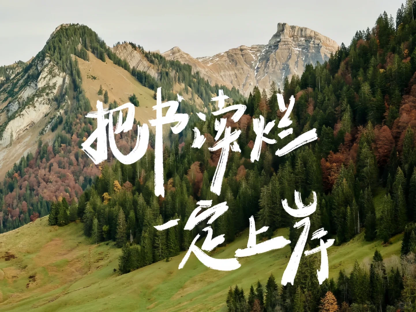 分享学习壁纸
