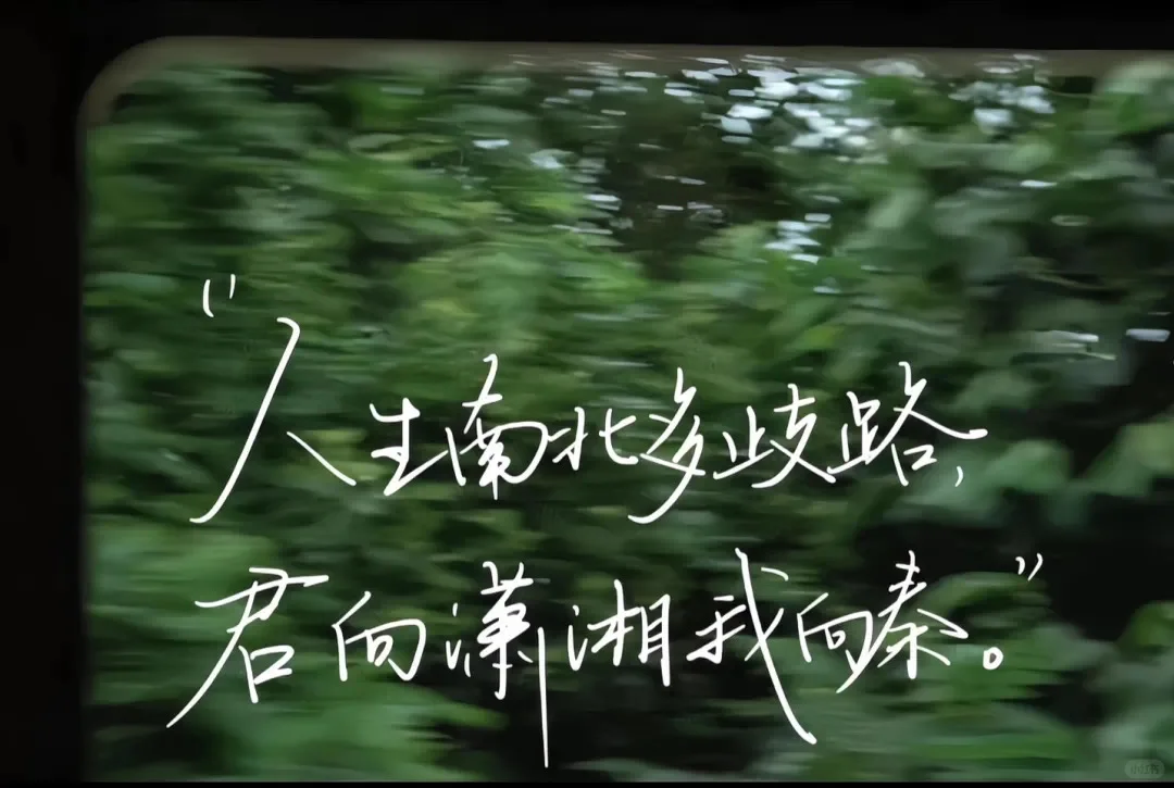 “4k高清电脑/iPad壁纸”